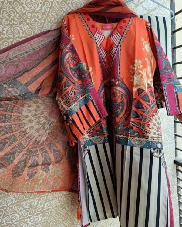 Coralina Pakistani inspired 3 piece - Image 3